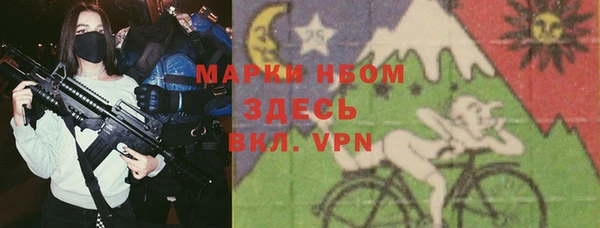 трава Инта