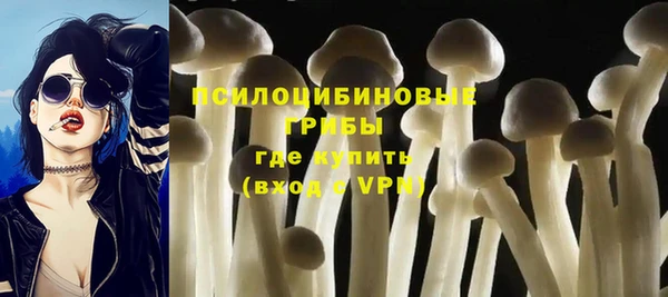 крисы Зеленодольск