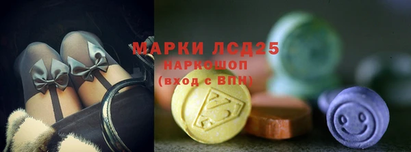 крисы Зеленодольск