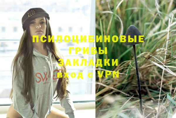 трава Инта