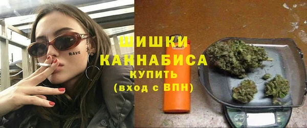 трава Инта